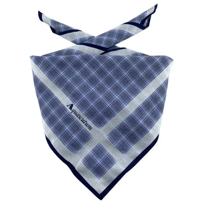 Pre-owned Aquascutum Neckerchief In Other