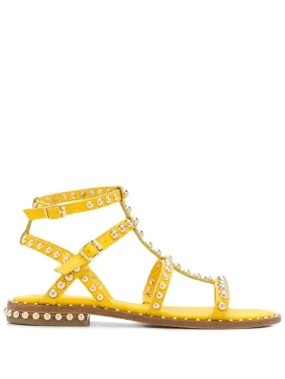 Ash Klassische Römersandalen In Yellow