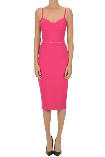 Elisabetta Franchi Sheath Dress In Pink