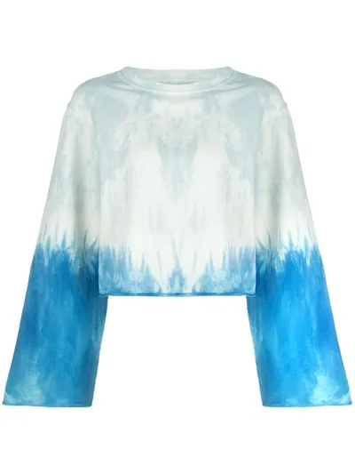 Apparis Satya Tie-dye Sweatshirt In Blue