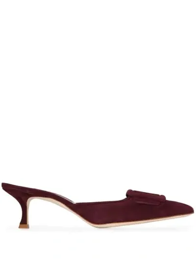 Manolo Blahnik Dark Maysale 50 Suede Mules In Dred