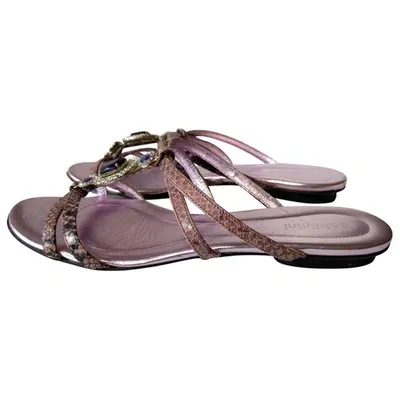 Pre-owned Baldinini Leather Flats In Purple