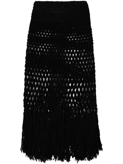 Alanui Handmade Net Crochet Skirt In Black