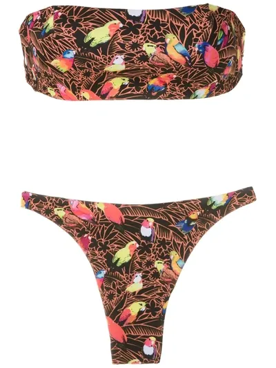 Amir Slama Parrot-print Bandeau Bikini Set In Black