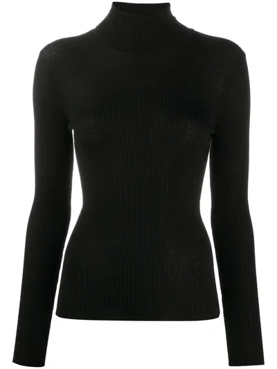 Nuur Roll-neck Fitted Jumper In Black