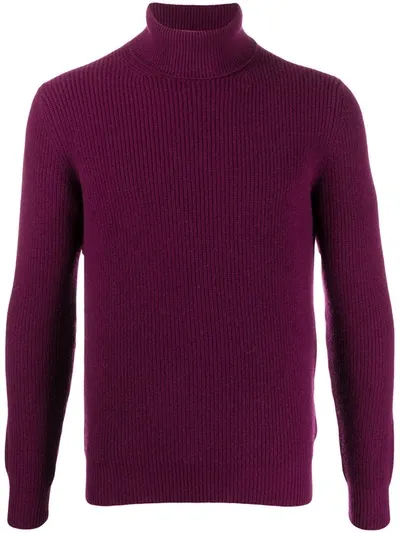 Lardini Roll-neck Sweater In Purple