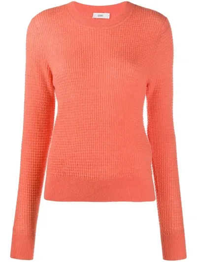 Closed Textured Knitted Jumper In Orange