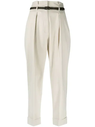 Peserico Pleated Tapered Trousers In Neutrals