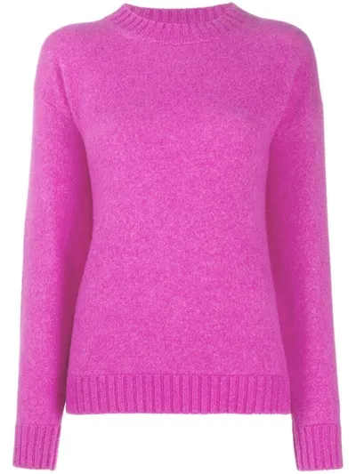 Laneus Crew Neck Jumper In Pink