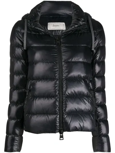 Herno Hooded Puffer Jacket In Black