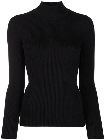 Alberta Ferretti Turtle Neck Jumper In Black