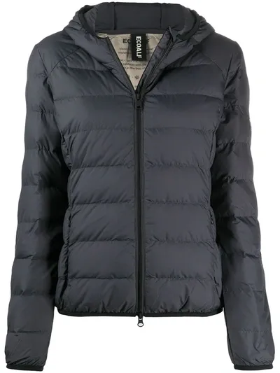 Ecoalf Asp Padded Jacket In Grey