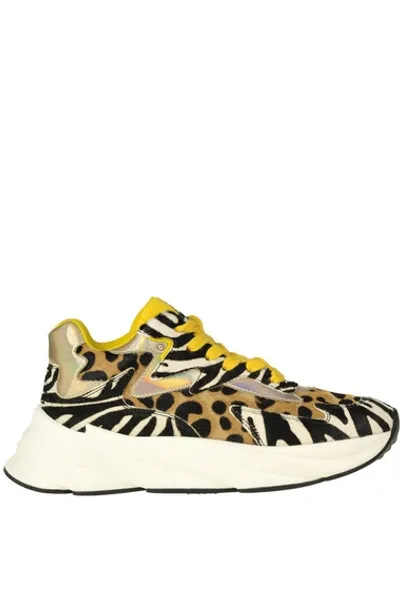 Elena Iachi Animal Print Haircalf Sneakers In Multicolor (multicolor)