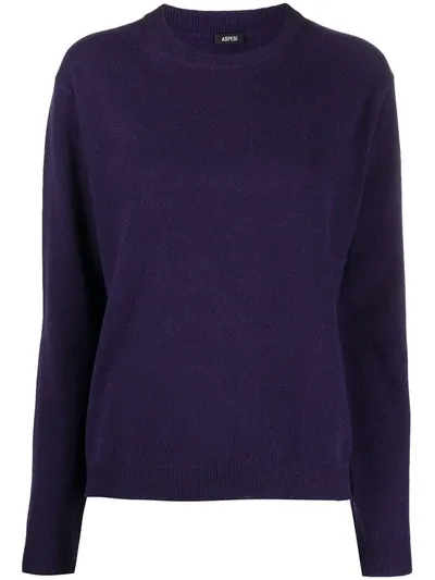 Aspesi Round Neck Cashmere Jumper In Purple