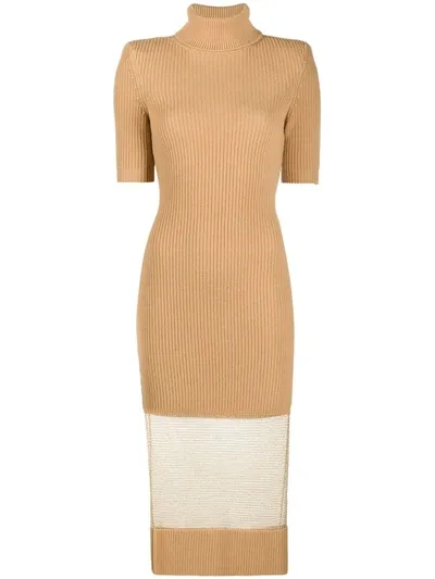 Elisabetta Franchi Roll Neck Sheer-panel Dress In Brown