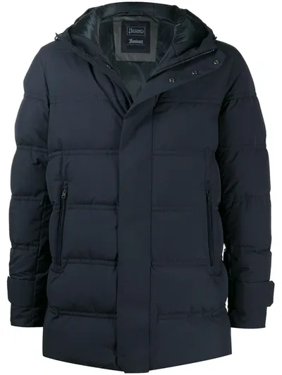 Herno Padded Hooded Jacket In Blue