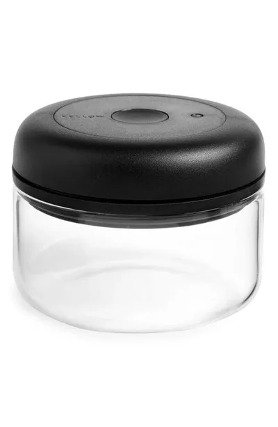 Fellow Atmos Vacuum Glass Canister In Clear- Small