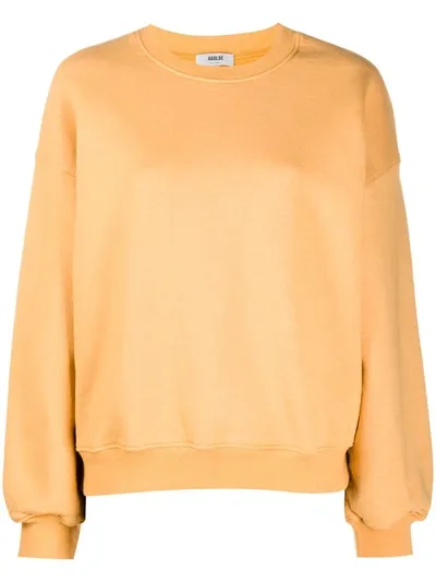 Agolde Round Neck Sweatshirt In Yellow