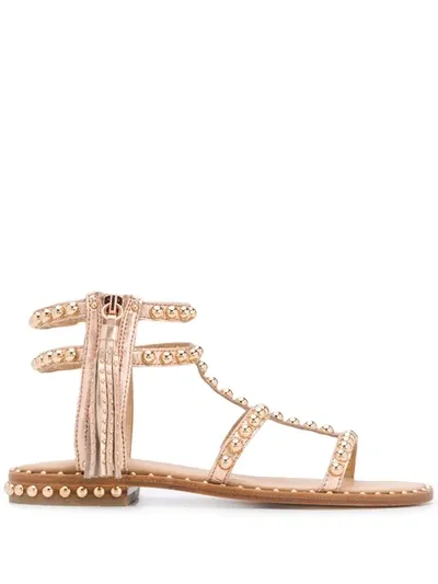 Ash Studded Gladiator Sandals In Gold