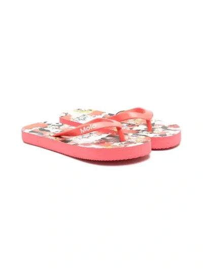 Molo Kids' Flower Power Cat-print Flip-flops In Pink