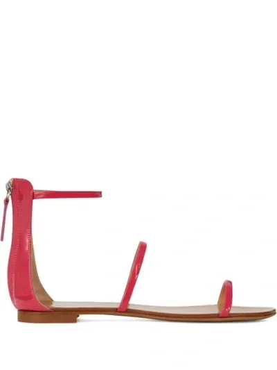 Giuseppe Zanotti Harmony Flat Sandals In Pink