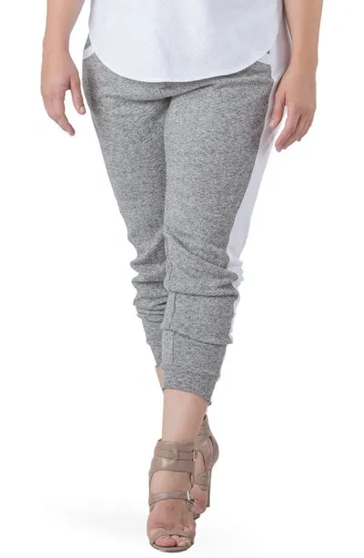 Standards & Practices Sami Knit Crop Joggers In Grey