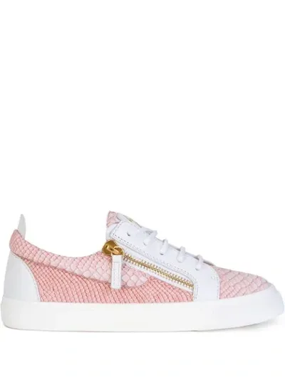 Giuseppe Zanotti Frankie Snakeskin-effect Zip-detail Sneakers In Pink