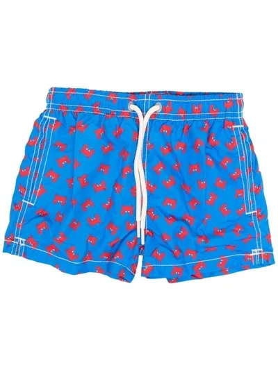 Mc2 Saint Barth Kids' Jean Lighting Chilli-print Swim Shorts In Blue