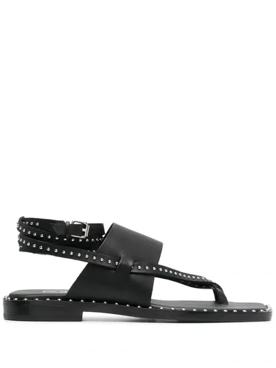 Ash Black Leather Medusa Flat Sandals