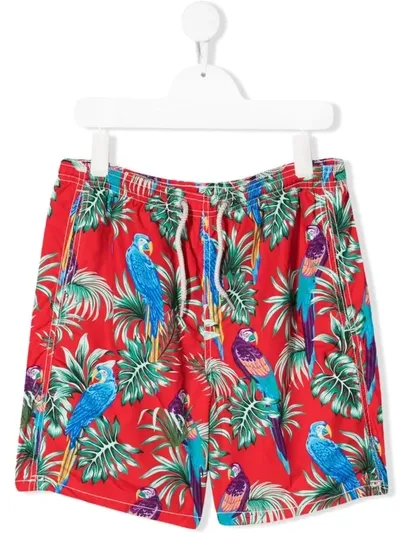 Mc2 Saint Barth Teen Parrots Print Swim Trunks In Red