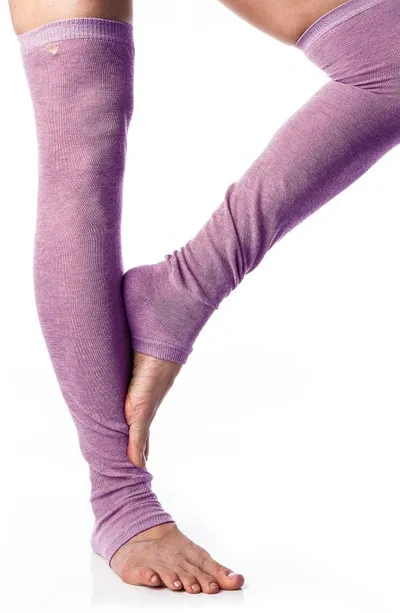 Arebesk Leg Warmers In Lavender