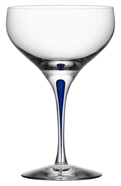 Orrefors Intermezzo Coupe Glass In Clear/blue