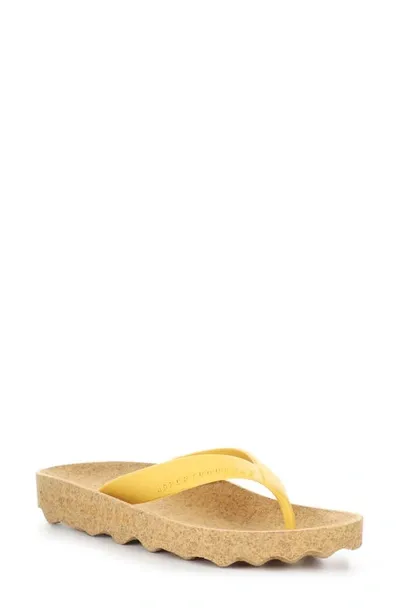 Asportuguesas By Fly London Feel Flip Flop In Yellow Rubber