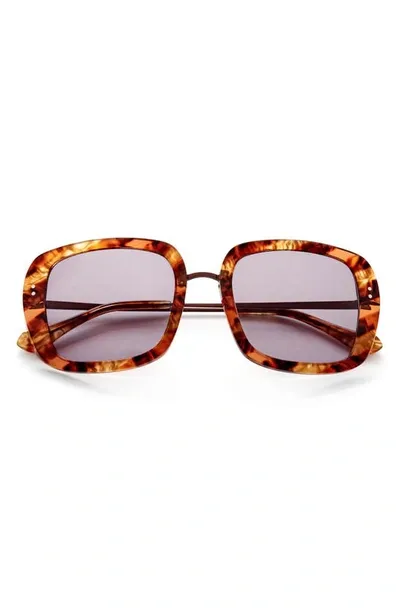 Gemma Baker Street 52mm Square Sunglasses In Tigers Eye