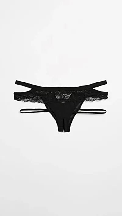 Honeydew Intimates Lucy Elastic & Lace Panties Black