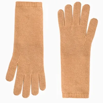 Max Mara Camel-coloured Wool And Cashmere Gloves In Brown