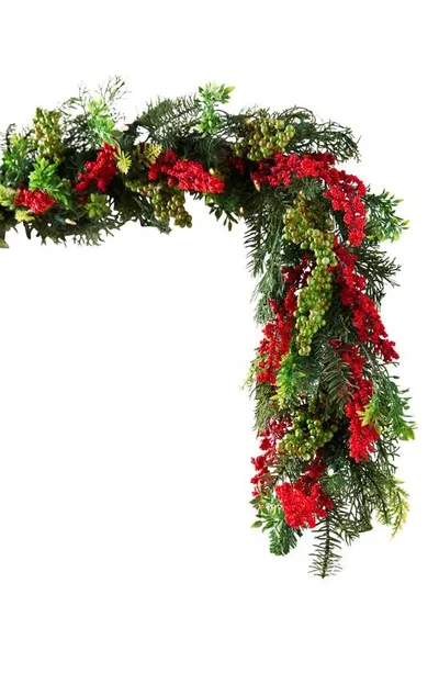 Balsam Hill Outdoor Pre-lit Berry Burst Garland In Led Clear - Single