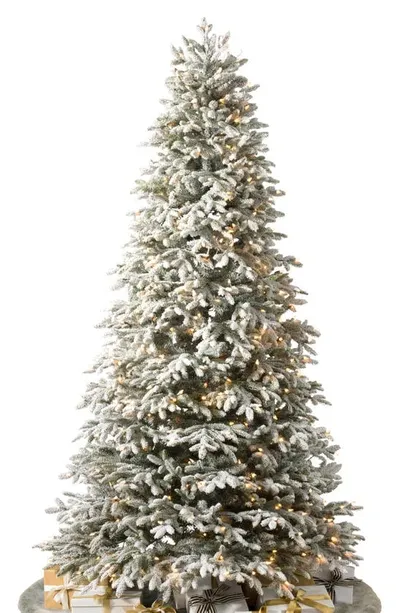 Balsam Hill Artificial Led Frosted Light Fraser Fir Tree In Led Clear