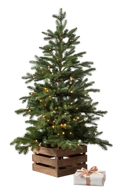 Balsam Hill Country Farm Fir Pre-lit Artificial Tree In Green