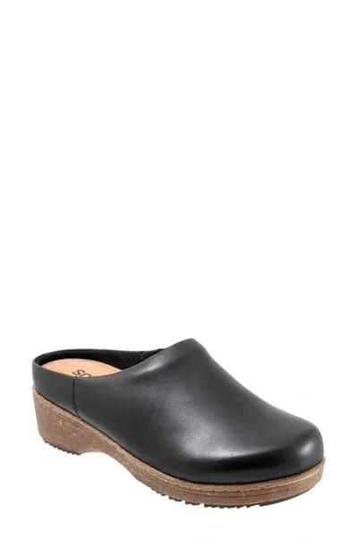 Softwalk Arvada Mule In Black