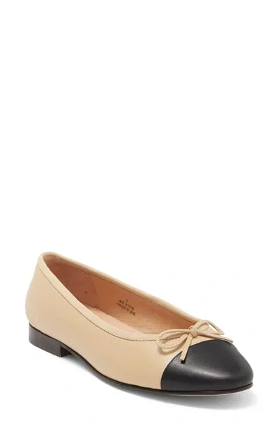 Jeffrey Campbell Arabesque Ballet Flat In Brown