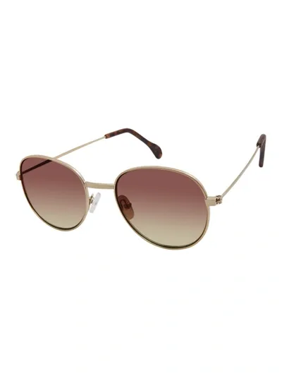 Robert Graham Acklins Sunglasses In Gold