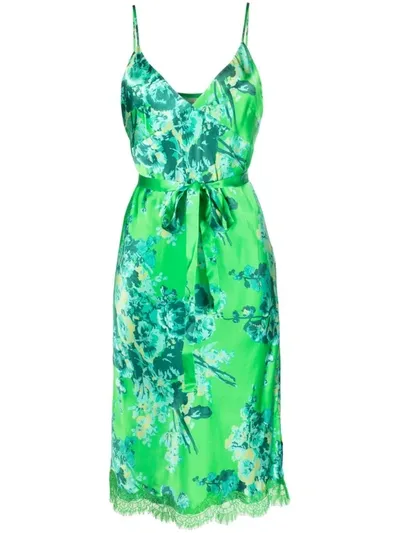 Gold Hawk Floral-print Lace-detail Silk Dress In Green