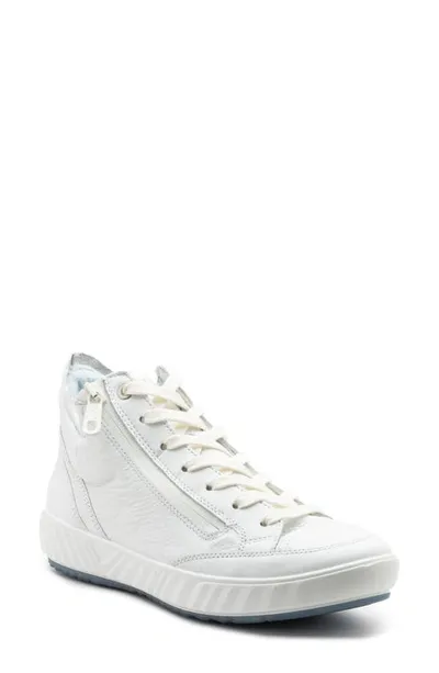 Ara Aurora High Top Sneaker In White Calf