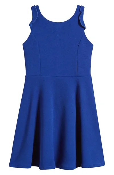 Ava & Yelly Kids' Ruffle Sleeveless Skater Dress In Royal