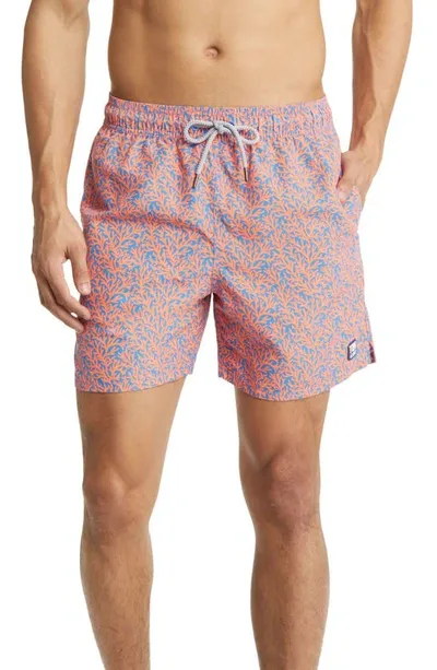 Tom & Teddy Coral Print Swim Trunks In Mid Blue  Orange