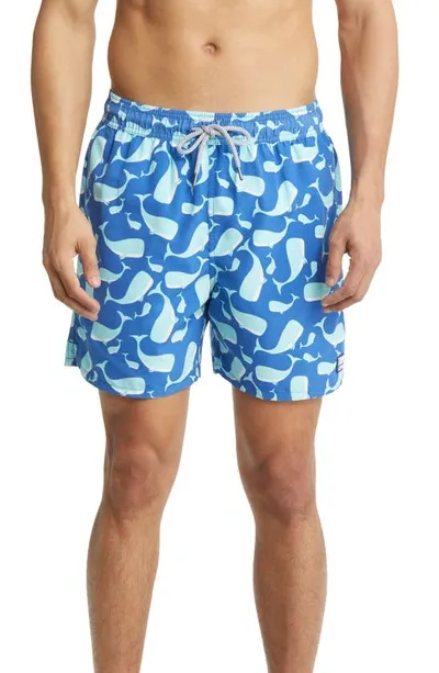 Tom & Teddy Whale Print Swim Trunks In Navy  Aqua