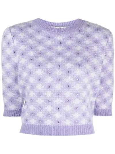 Alessandra Rich Check-pattern Rhinestone-embellished Knitted Top In Purple