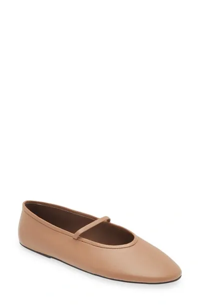 Jeffrey Campbell Dancerina Ballet Flat In Dark Beige