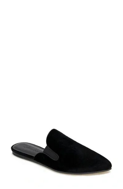 Splendid Liza Pointed Toe Mule In Black